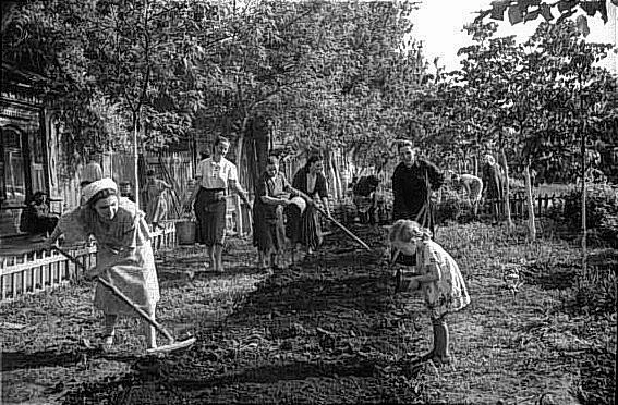 Сажать цветы на Чапаевской вышли все: от мала до велика. 1955 год | Источник: фотофонд Самарского областного государственного архива социально-политической истории