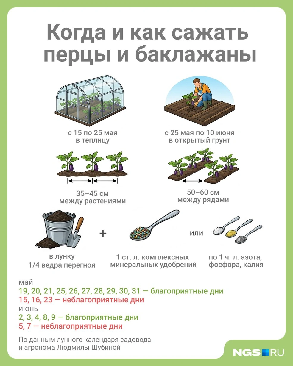 Источник: Юрий Орлов / Городские медиа