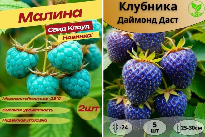 Богатая у людей фантазия все-таки | Источник: скриншоты с сайтов ozon.ru и wildberries.ru