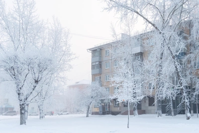 Yaroslavl residents warned of anomalous late-January cold