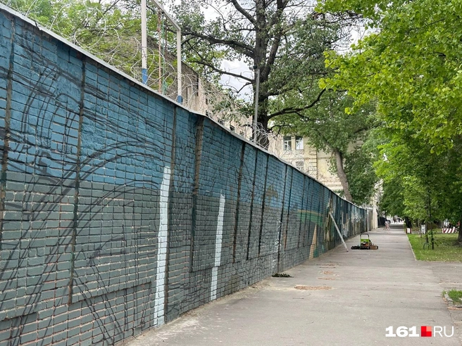 Источник: 161.RU