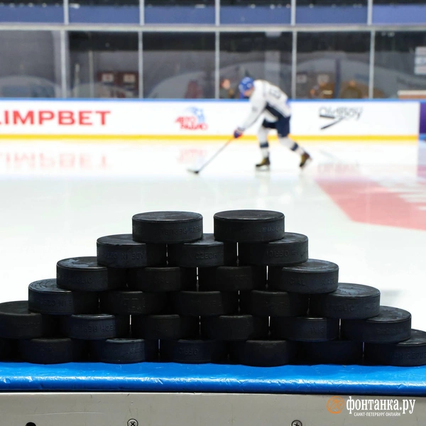 Источник: Марина Мамонтова / Фонтанка.ру