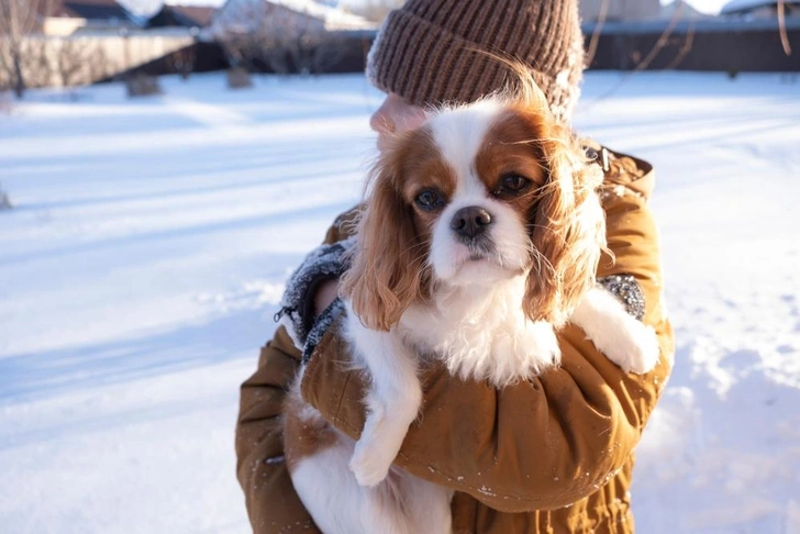 Источник: Irina Zharkova31/Shutterstock/Fotodom.ru