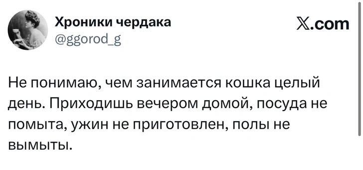 Источник: X (Twitter)