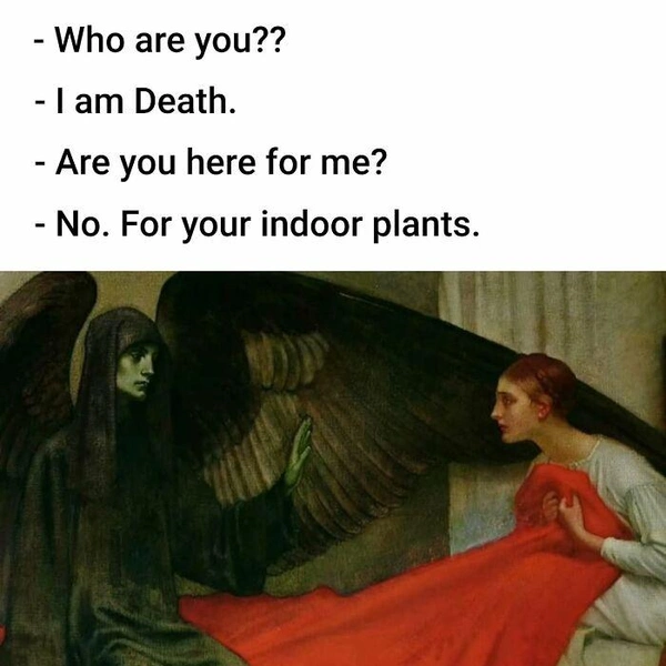 —&nbsp;Кто ты?—&nbsp;Смерть.—&nbsp;Ты пришла за мной?—&nbsp;Нет, за твоими комнатными растениями. | Источник: artmemescentral