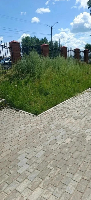 Источник: очевидец