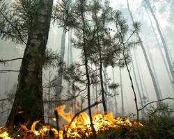 На всей территории Красноярского края введен режим ЧС | ngs24.ru