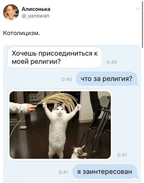 Шутки понедельника и «котолицизм»