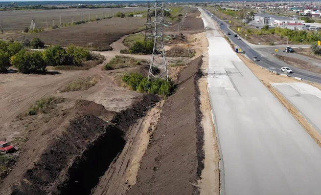 Ради строительства моста и дороги вырубили 38 гектаров леса | Источник: Александр Карягин / YouTube.com