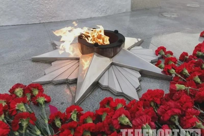 Полмиллиона свежих гвоздик доставили в Приамурье к 9 Мая