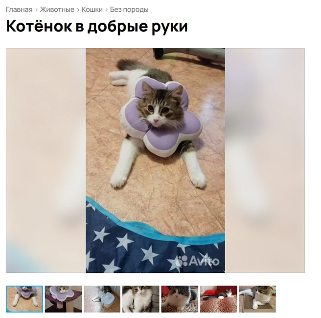 Сыночка-корзиночка | Источник: Аvito.ru
