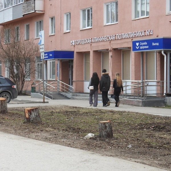 Вырубили и деревья у входа в поликлинику, от которого до будущей улицы Строителей больше 200 метров
