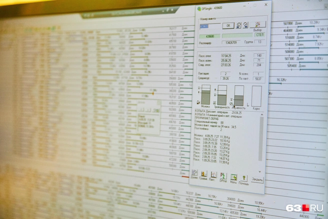 Нажимая на каждую корову, мы «проваливаемся» в ее досье | Источник: Роман Данилкин / 63.RU