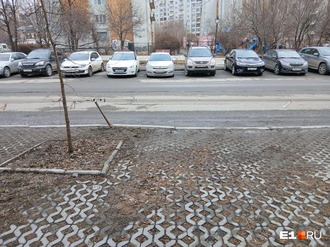 Парковка в центре давно на вес золота | Источник: читатель E1.RU