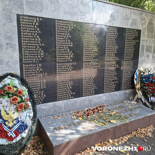 Источник: Алёна Воропаева / Voronezh1.ru