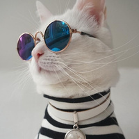 Аватарка Sveta_Sitdikova