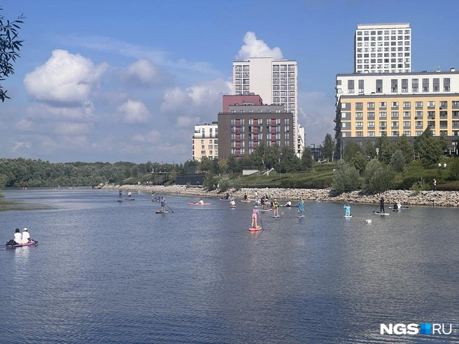 В данный момент участники проходят инструктаж | Источник: Анна Скок / NGS.RU