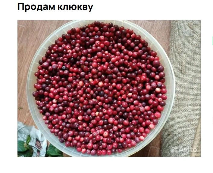 Источник: Авито / Avito.ru