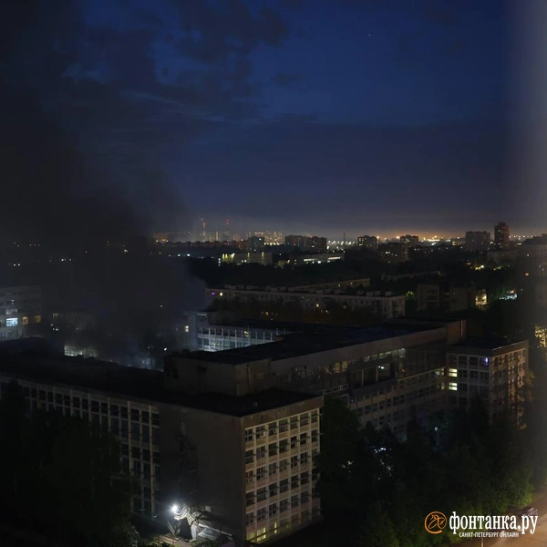 Источник: Дарья Драй / «Фонтанка.ру»