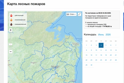 Все лесные пожары в Хабаровском крае ликвидированы