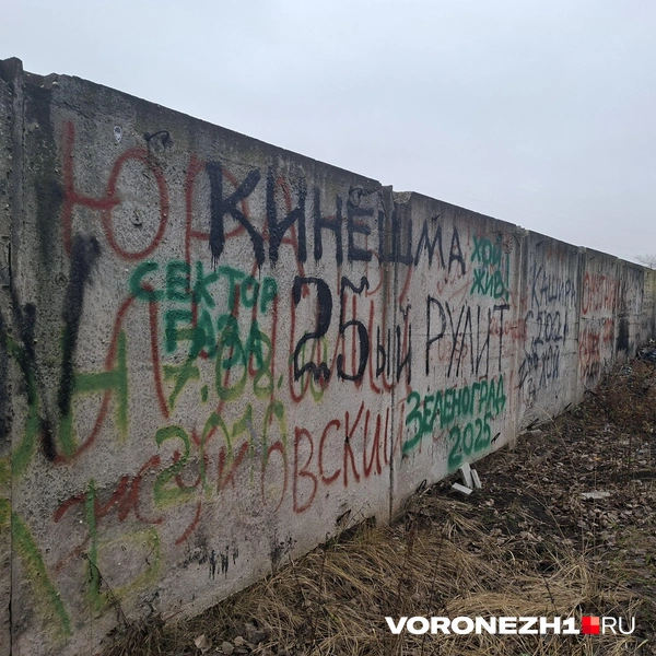 Источник: Алёна Воропаева / Voronezh1.ru