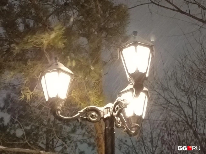 Источник: Анастасия Баринова / 56.RU