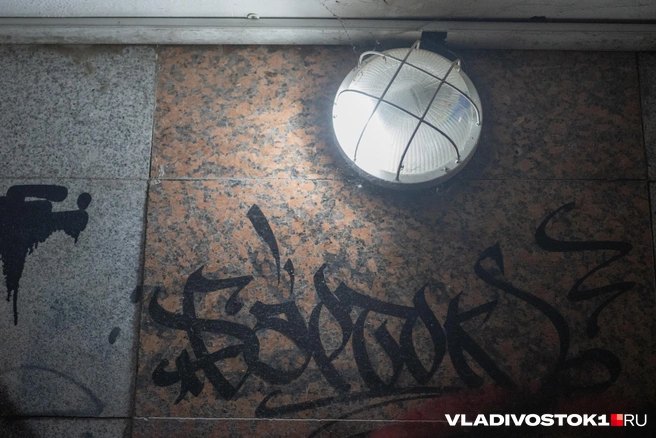 Источник: Елена Буйвол / VLADIVOSTOK1.RU