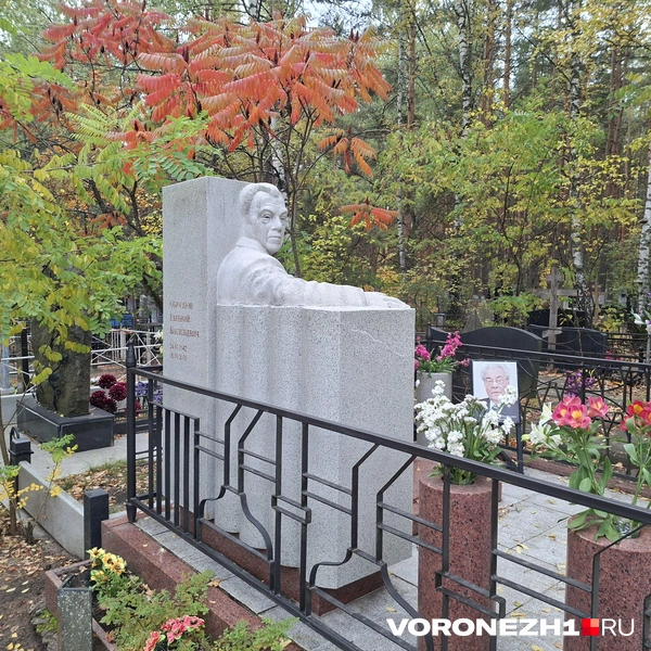 Источник: Алёна Воропаева / Voronezh1.ru