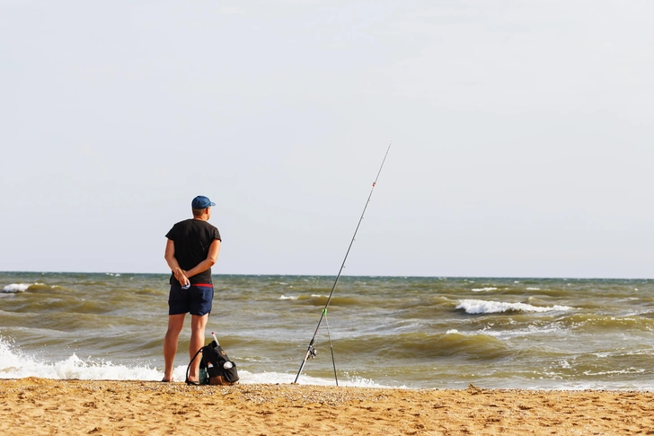 Остался только в устье Дона: из Азовского моря исчез популярный вид рыбы | Источник: SergeyCo/Shutterstock/Fotodom.ru
