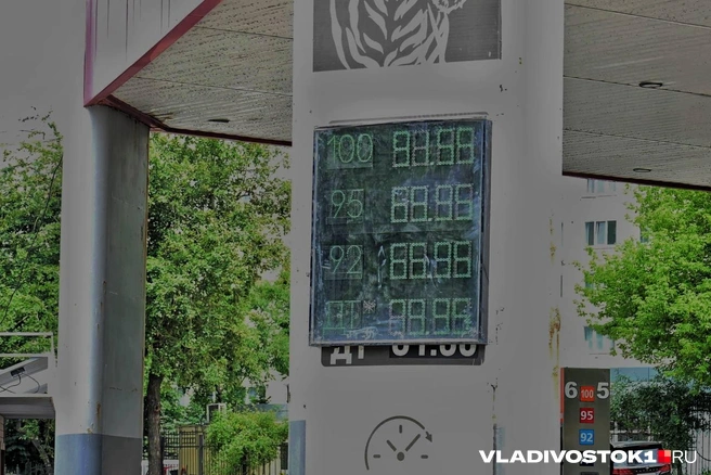 Источник: Елена Буйвол / VLADIVOSTOK1.RU