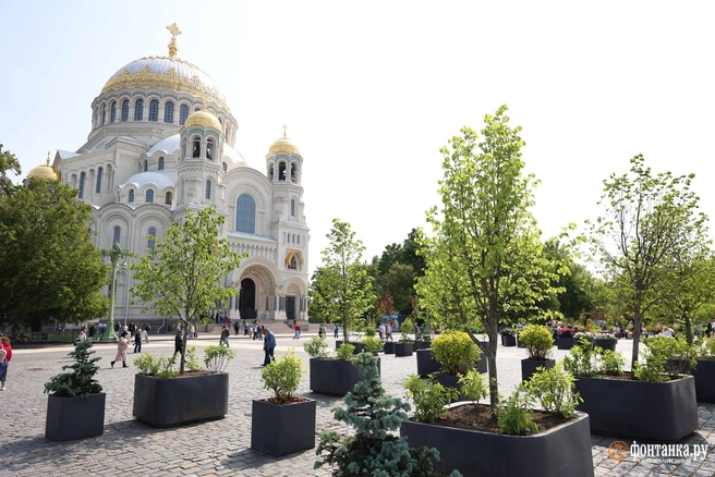 На Якорной площади в Кронштадте не будет сада-трансформера | Источник: Сергей Михайличенко / «Фонтанка.ру»