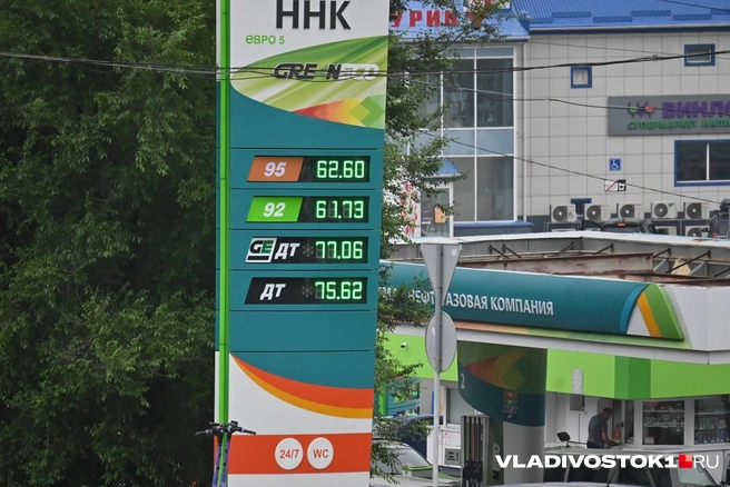 Источник: Елена Буйвол / VLADIVOSTOK1.RU