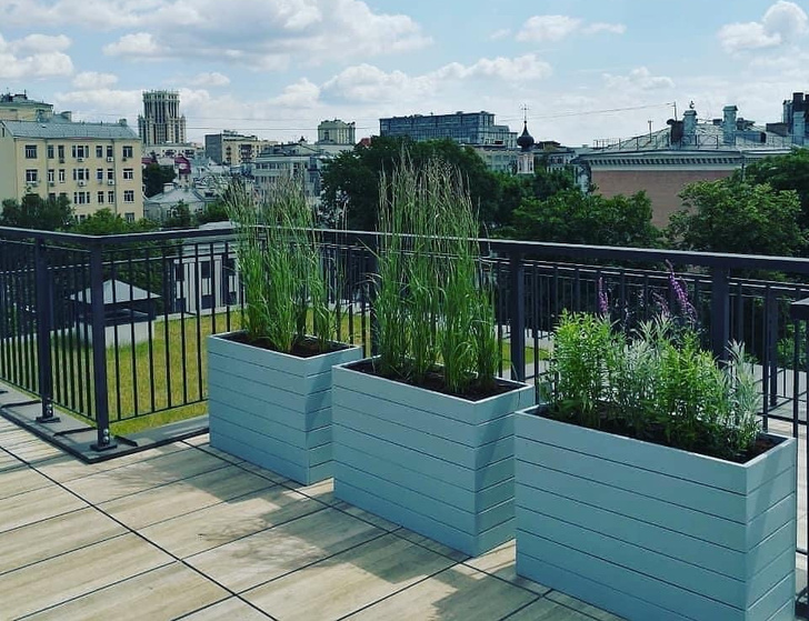 Готовые решения для озеленения балконов и террас (фото 4)