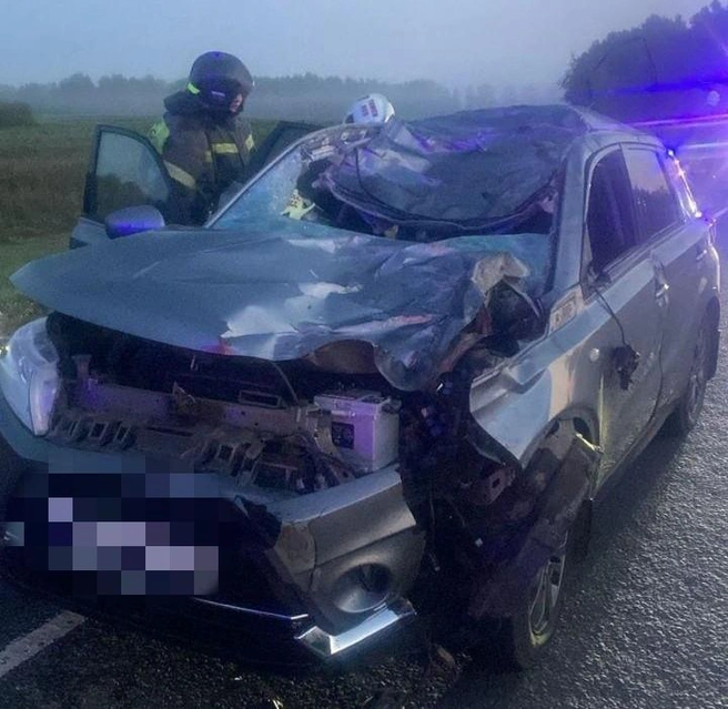 Donna Karla soch turmagi