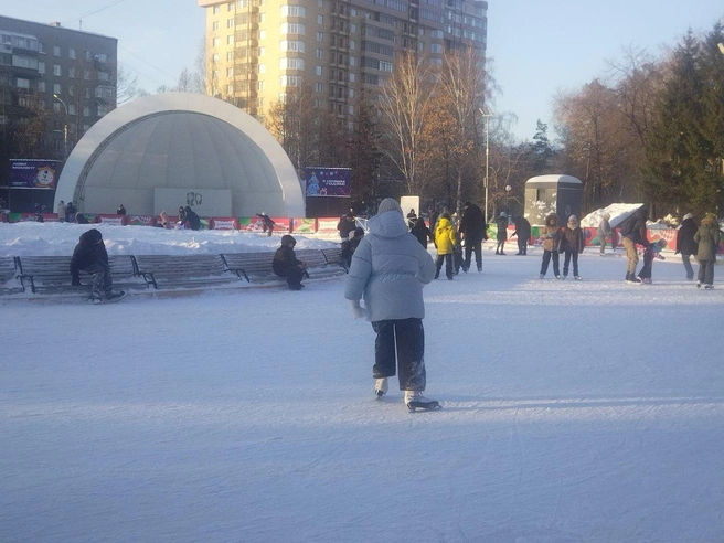 Многочисленные посетители собрались у катка в парке. | Источник: НГС