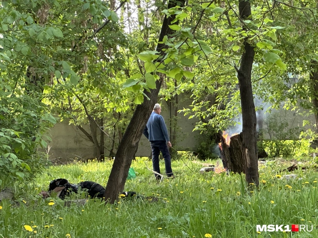 Мужчина спит в траве | Источник: Андрей Кузнецов / MSK1.RU