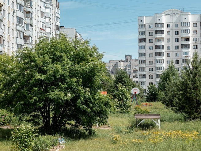 Игровая площадка посреди зелени и кустов | Источник: Александр Куренной / 76.RU