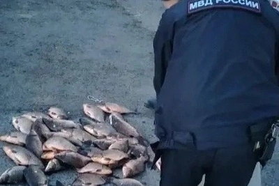 У браконьеров изъяли 195 карасей в Ивано-Арахлейском парке