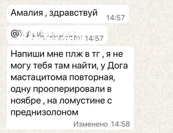 Источник: Читатель 161.RU