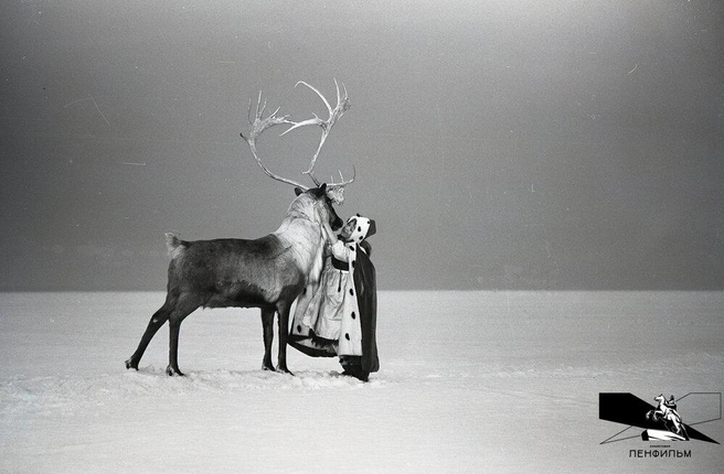 Источник: пресс-служба «Ленфильма»