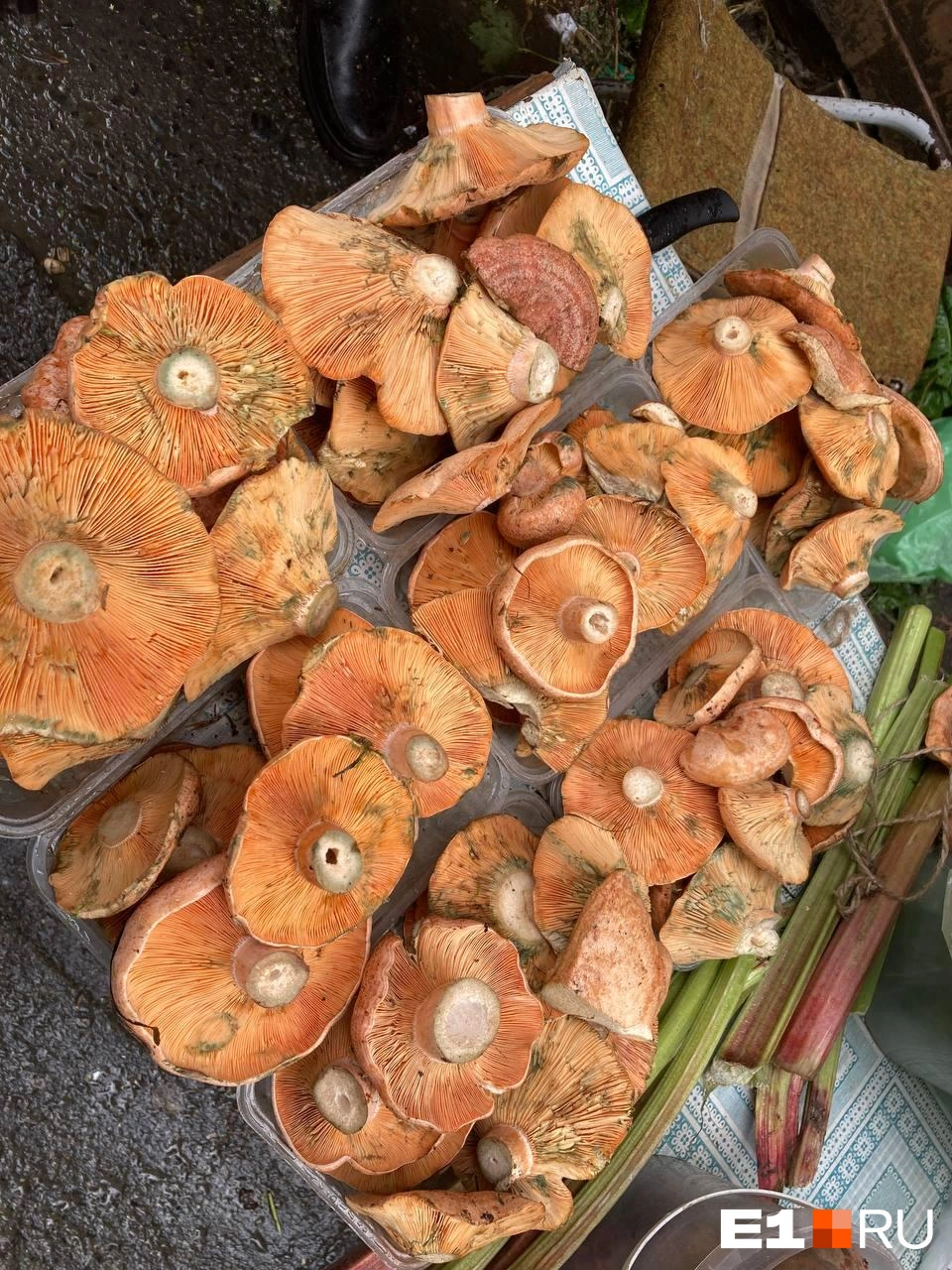 Рыжики тоже по 300 рублей за лоточек | Источник: Анастасия Ивасишина / E1.RU