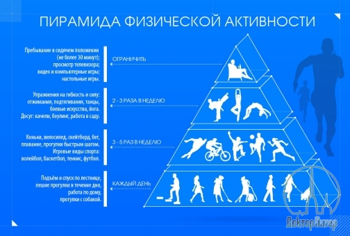 Центр профилактики: Как правильно двигаться и худеть