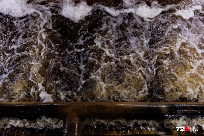 Выглядит речная вода не очень. Пить такую точно не хочется и не надо | Источник: Ирина Шарова / 72.RU