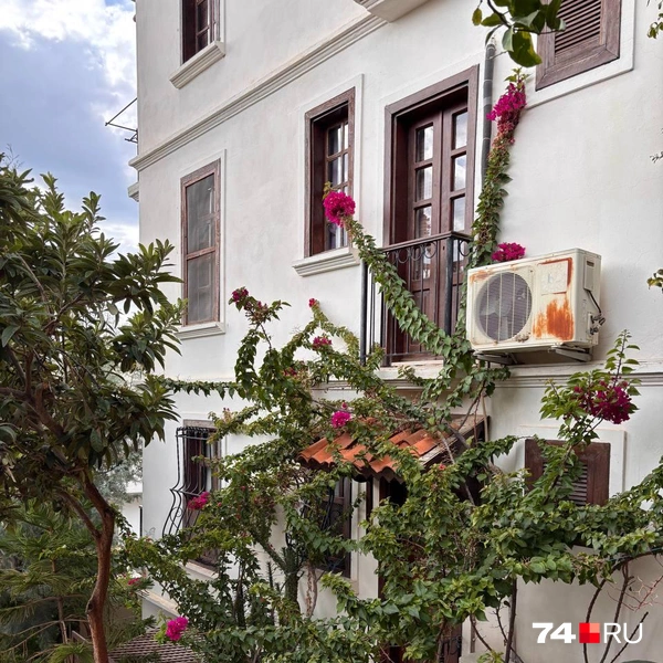 Источник: Наталия Колмогорова