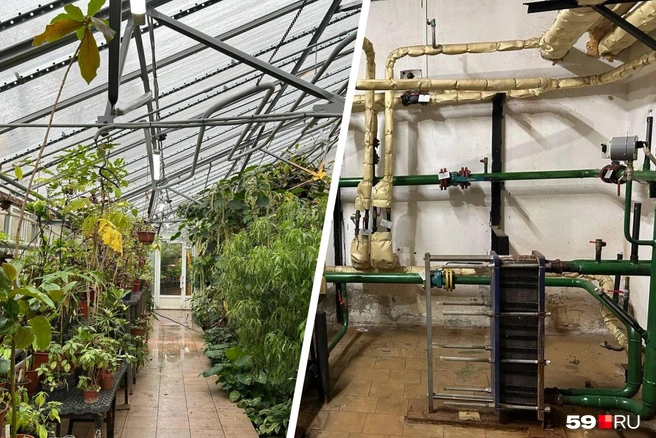 Из-за сломанного теплообменника (справа) в оранжерее прохладно, растения начали гибнуть | Источник: Александра Куляпина / 59.RU