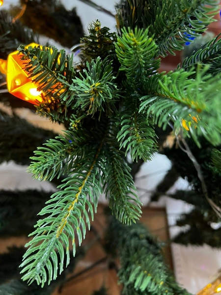 Источник: ИП Шолохова