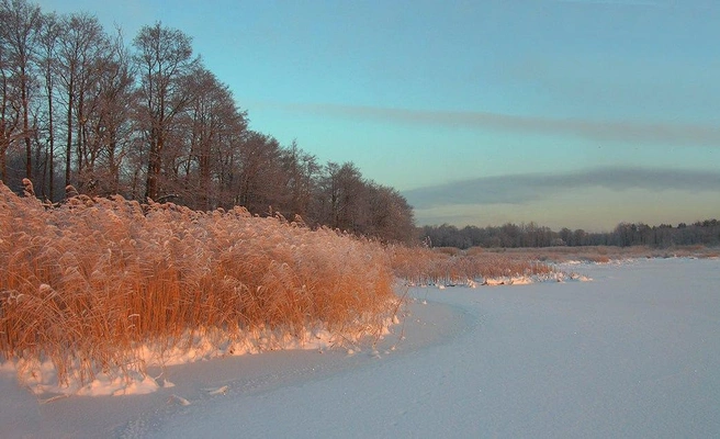 Источник: wer2, CC BY 3.0