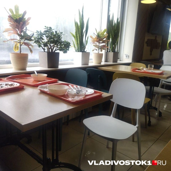 Источник: Екатерина Дымова / VLADIVOSTOK1.RU