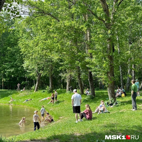 Источник: читательница MSK1.RU
