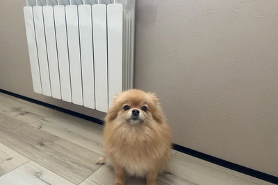 Власти объяснили подорожание отопления ярославцам